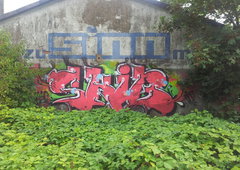 Photo #31284 by BIOE