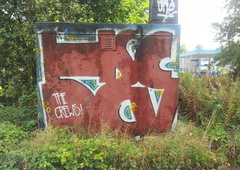 Photo #31285 by BIOE