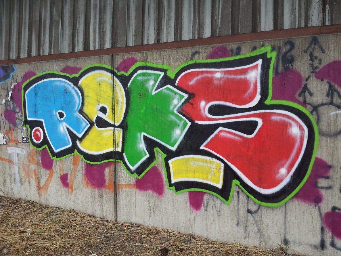 Graffiti Bombing - Photo by Pillepalle - REKS21