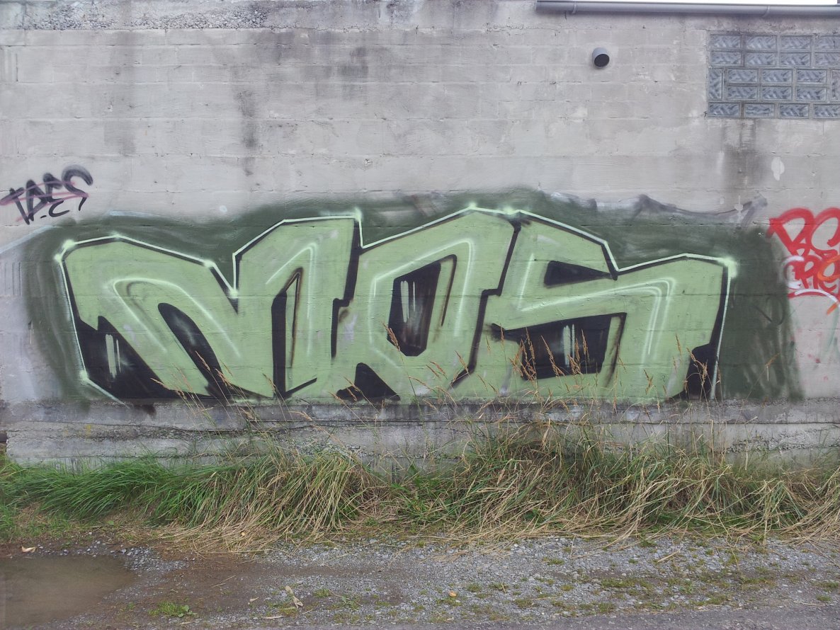 Graffiti Bombing - Photo by Pillepalle - MOS
