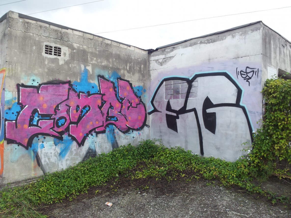 Graffiti Bombing - Photo by Pillepalle - COSBE, EG