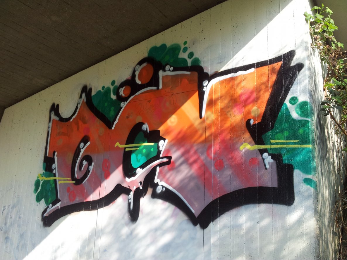 Graffiti Bombing in Fröndenberg - Photo by Pillepalle - DCV