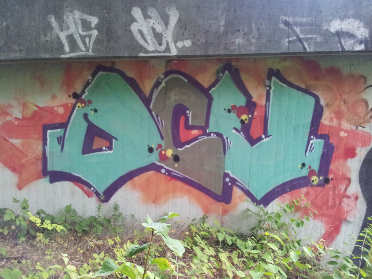 Graffiti Bombing - Photo by Pillepalle - DCV, HS
