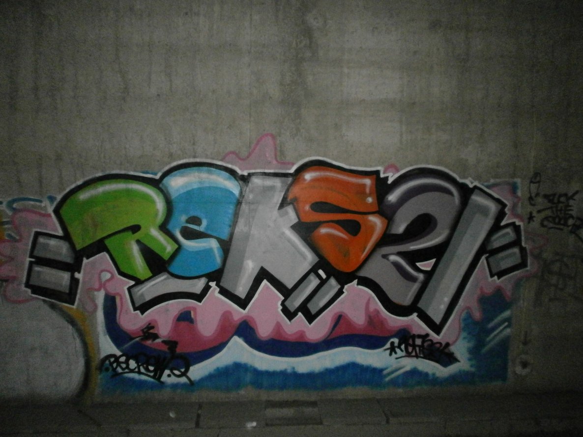 Graffiti Bombing - Photo by Pillepalle - REKS21