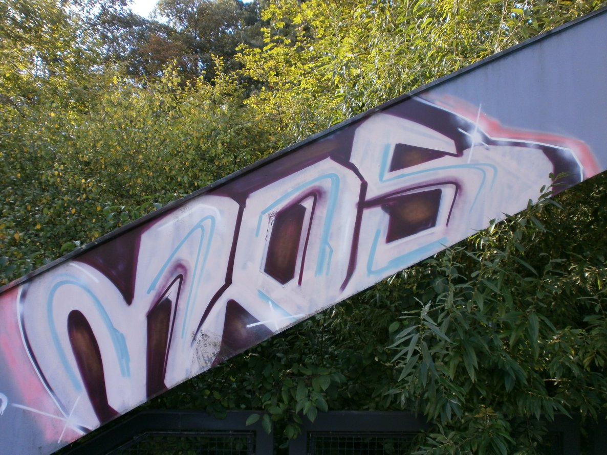 Graffiti Bombing - Photo by Pillepalle - MOS