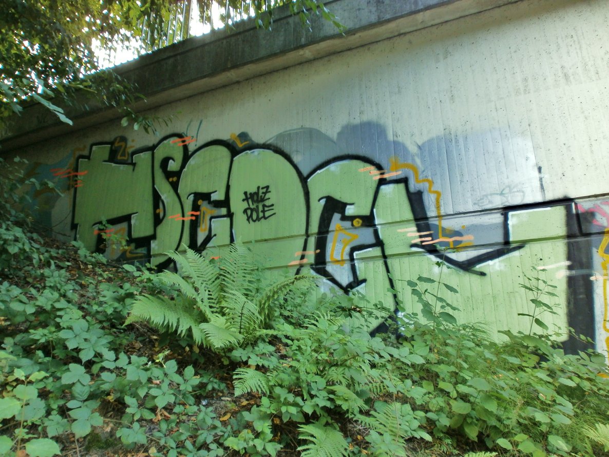 Graffiti Bombing - Photo by Pillepalle - HSC, DCV