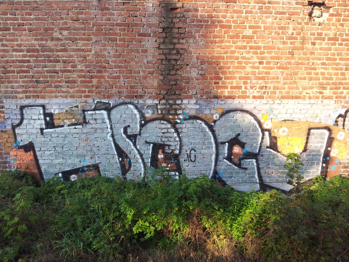 Graffiti Bombing - Photo by Pillepalle - HSC, DCV