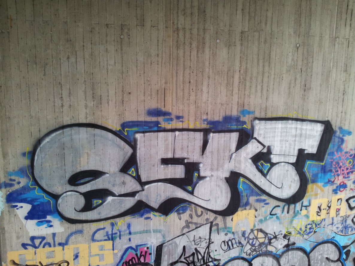 Graffiti Bombing - Photo by Pillepalle