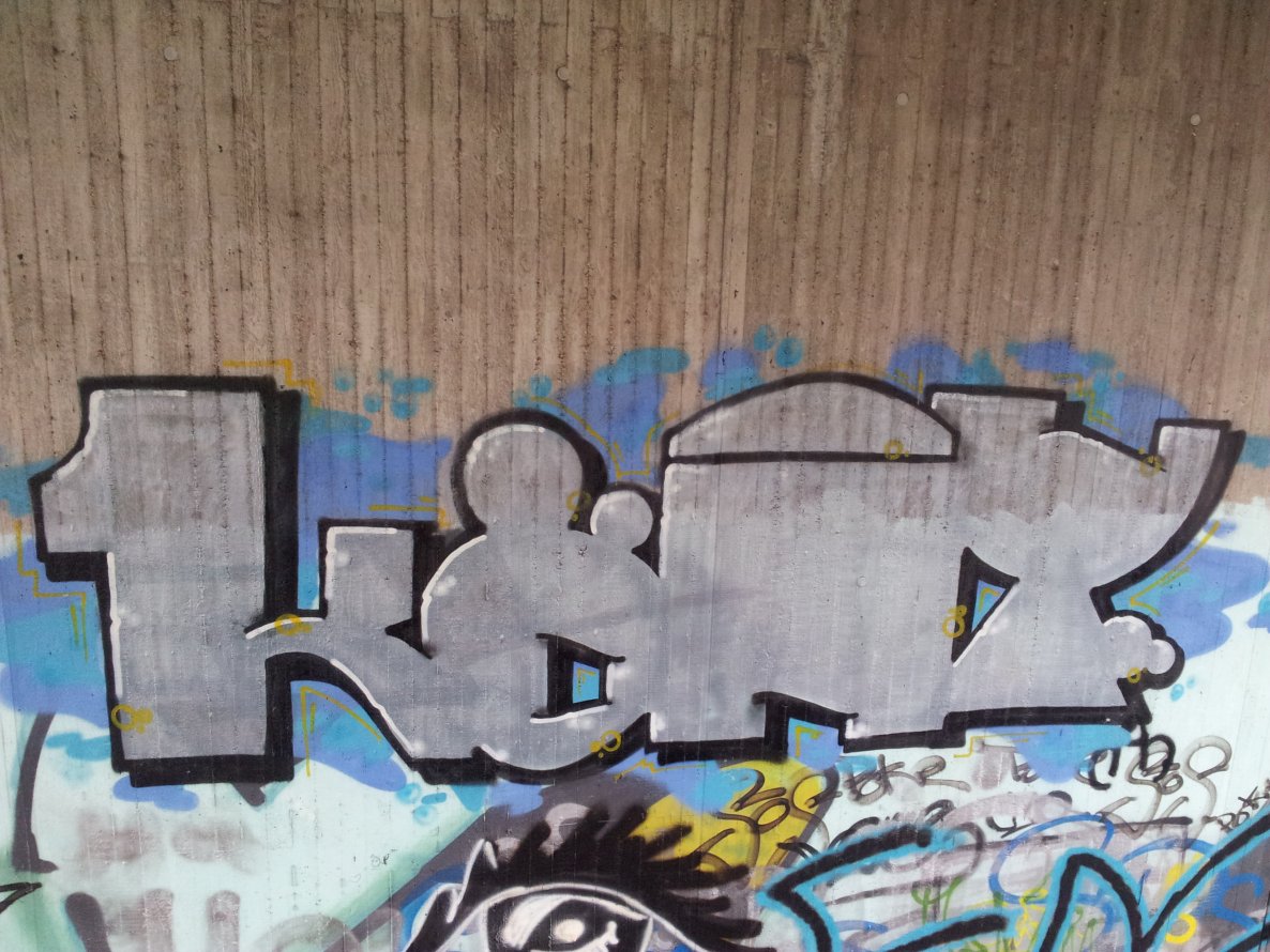 Graffiti Bombing - Photo by Pillepalle