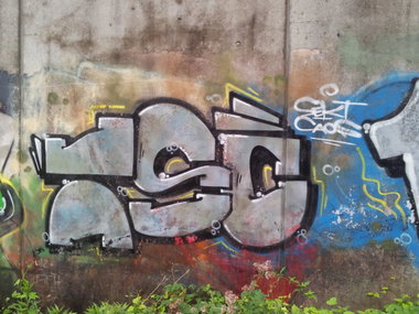 Graffiti Bombing - Photo by Pillepalle