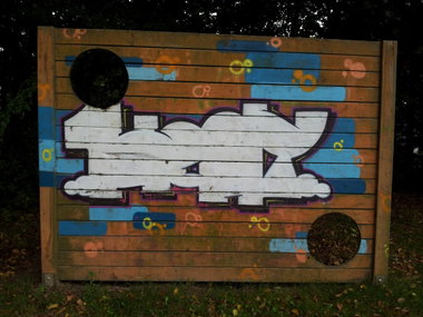 Graffiti Bombing - Photo by Pillepalle