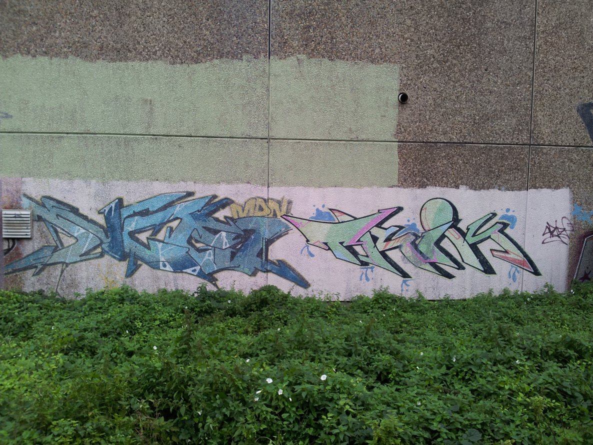 Graffiti Bombing - Photo by Pillepalle