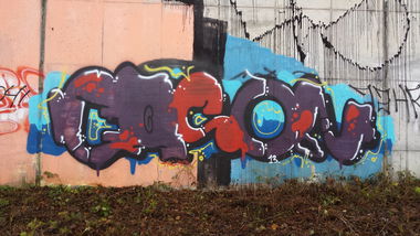 Graffiti Bombing - Photo by Pillepalle