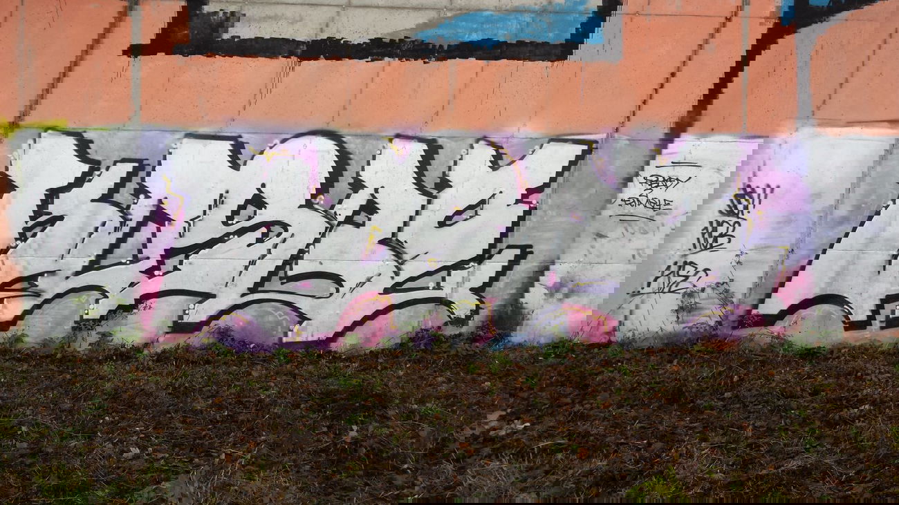 Graffiti Bombing - Photo by Pillepalle