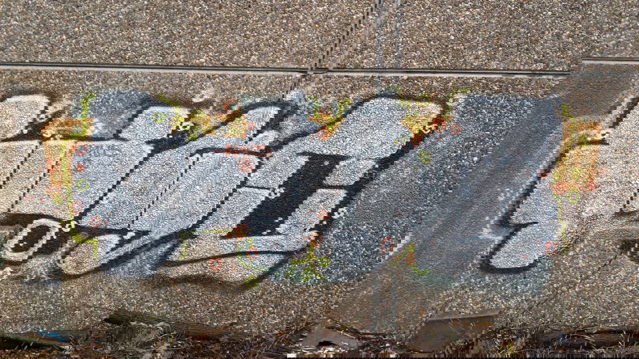 Graffiti Bombing - Photo by Pillepalle - HSC