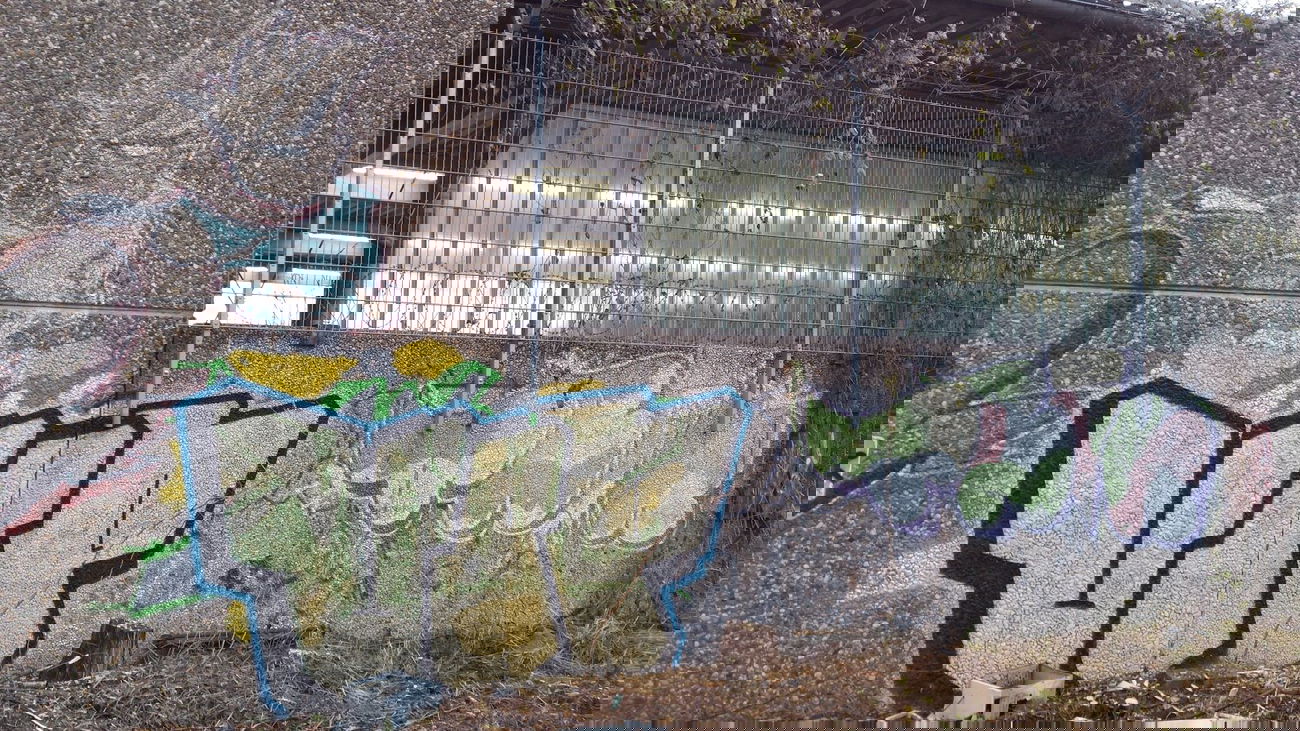 Graffiti Bombing - Photo by Pillepalle