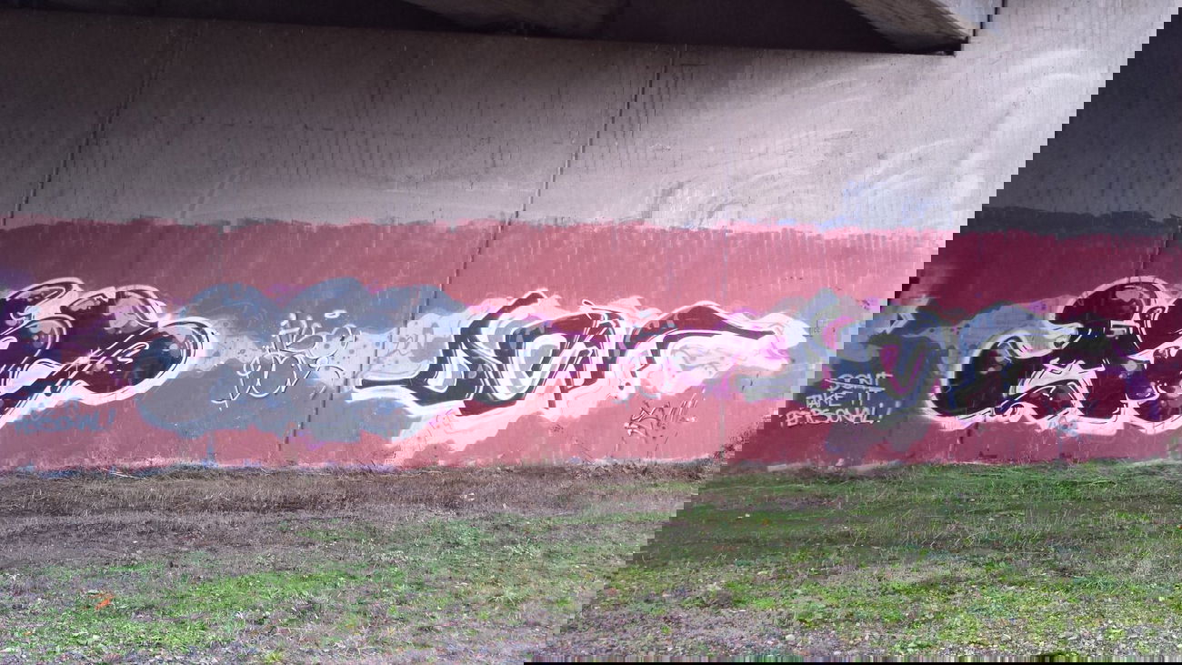 Graffiti Bombing - Photo by Pillepalle - HSC, DCV