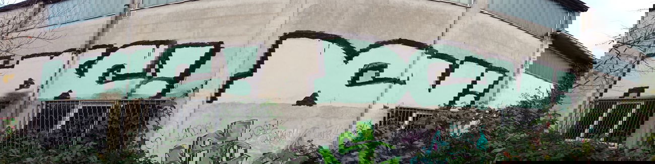 Graffiti Bombing - Photo by Pillepalle - HSC, DCV