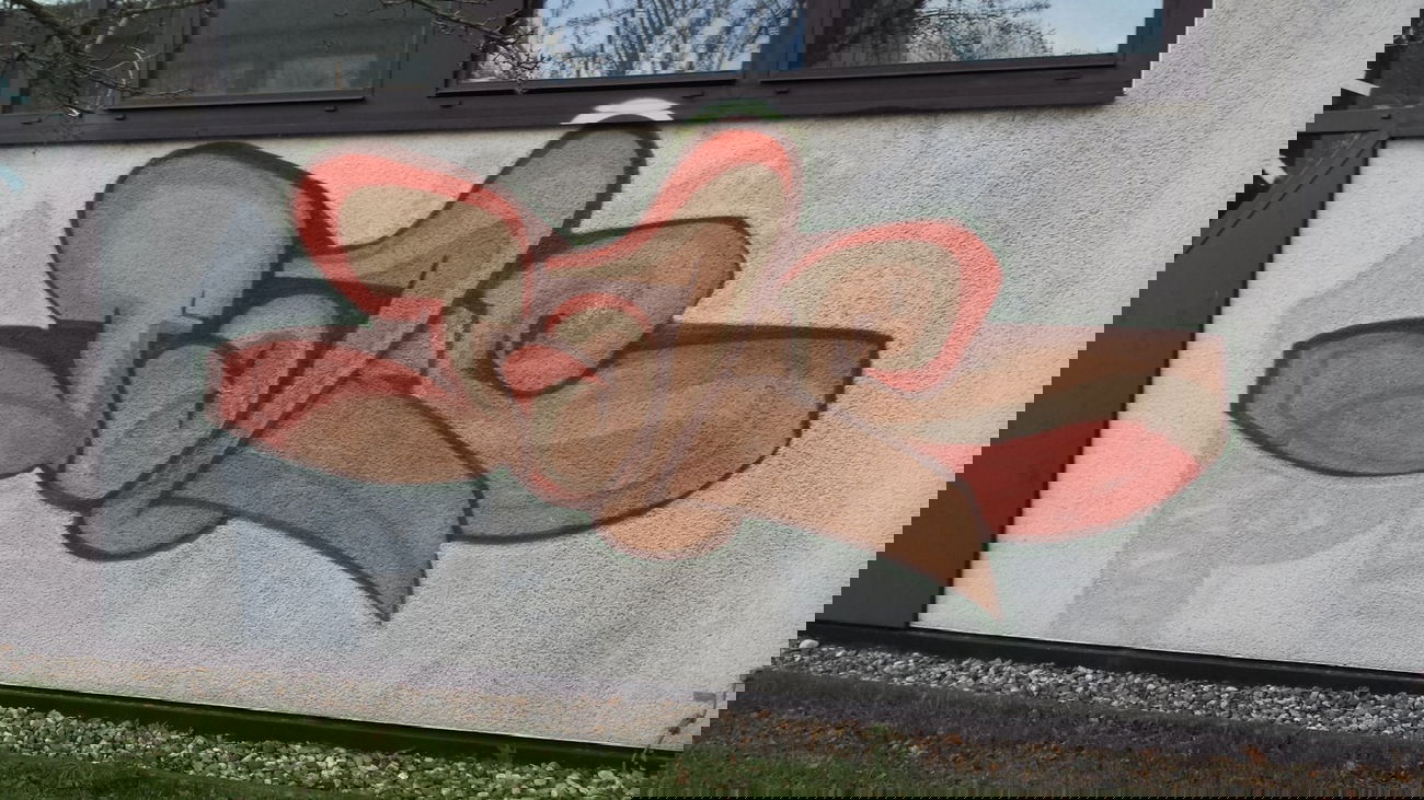 Graffiti Bombing - Photo by Pillepalle