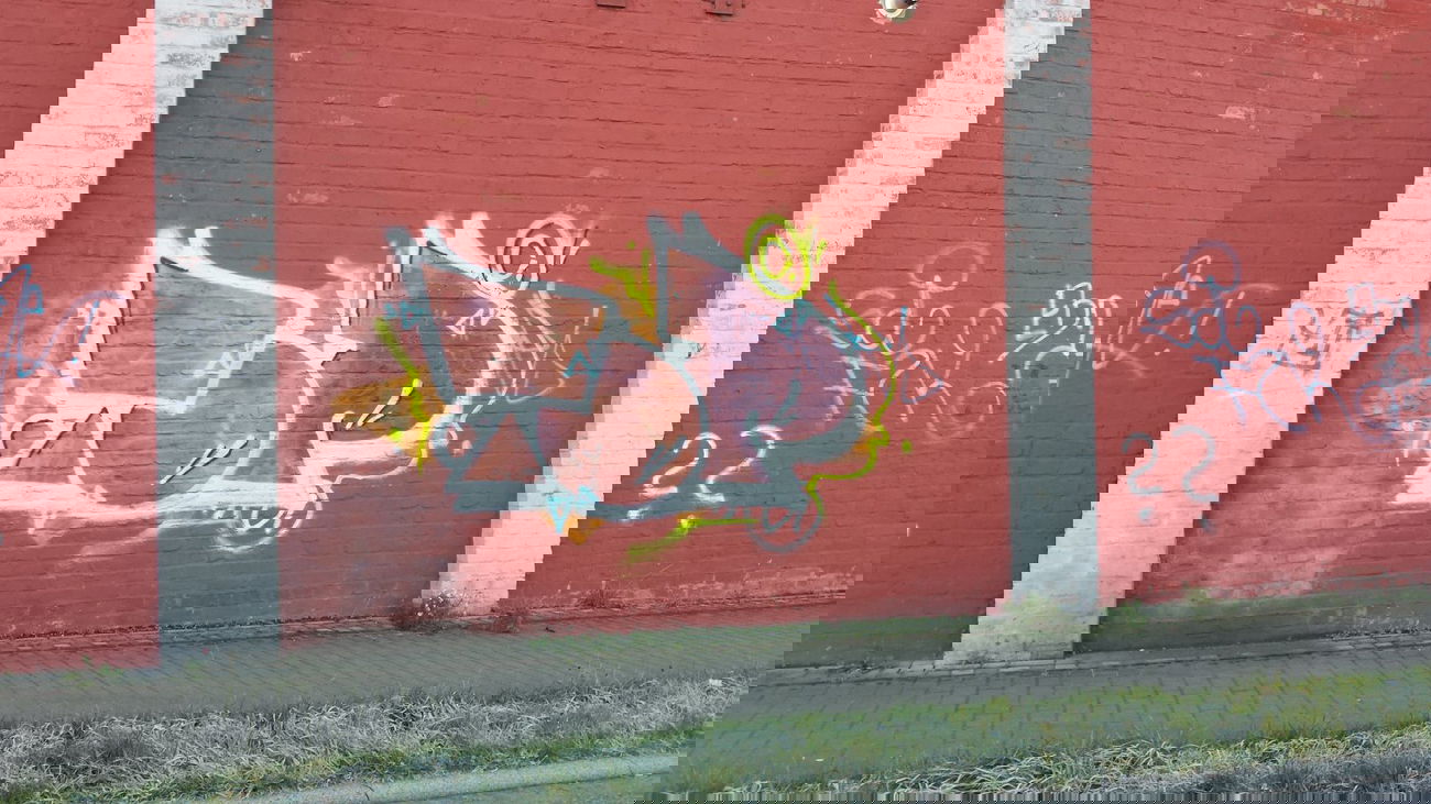 Graffiti Bombing - Photo by Pillepalle