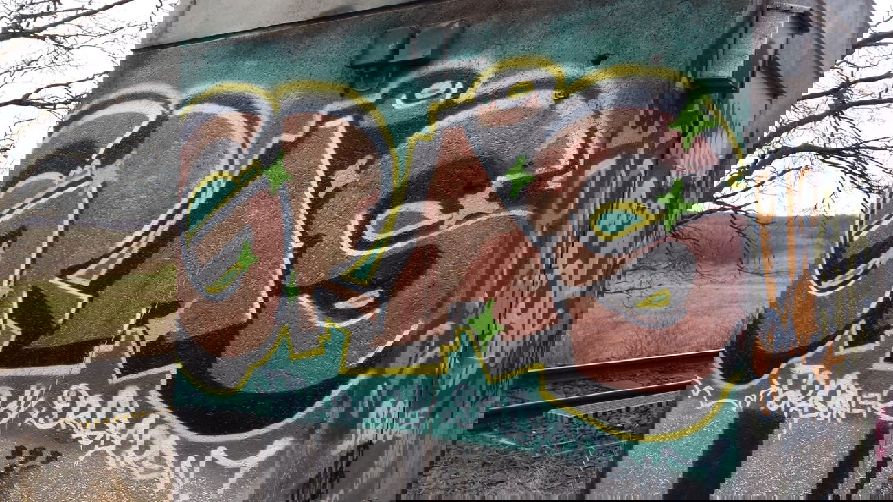 Graffiti Bombing - Photo by Pillepalle