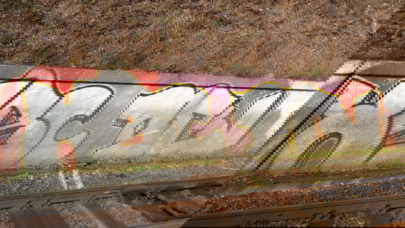 Graffiti Bombing - Photo by Pillepalle - DCV, HSC