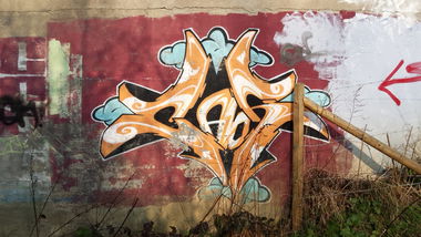 Graffiti Bombing - Photo by Pillepalle - CAOS