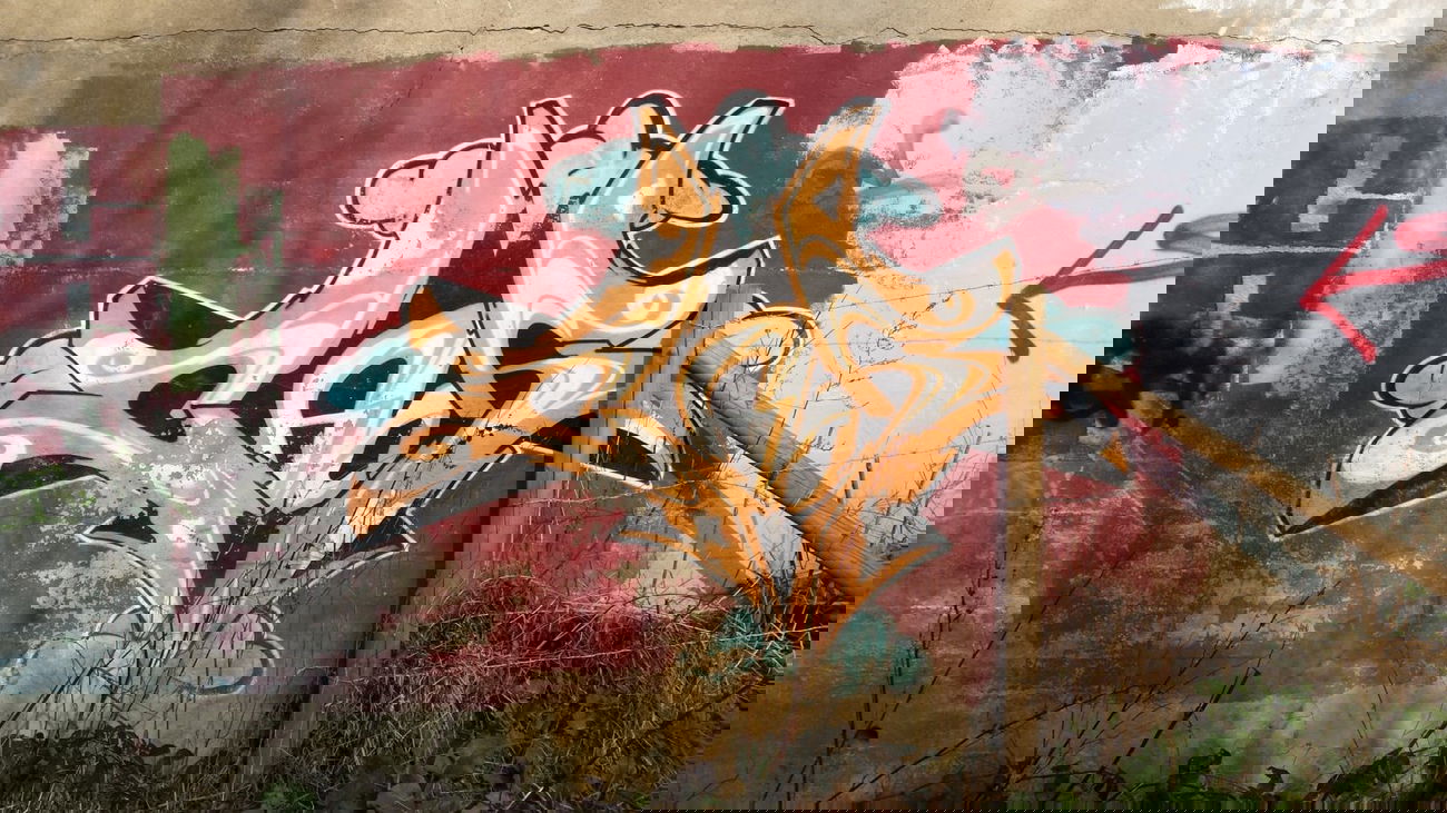 Graffiti Bombing - Photo by Pillepalle - CAOS