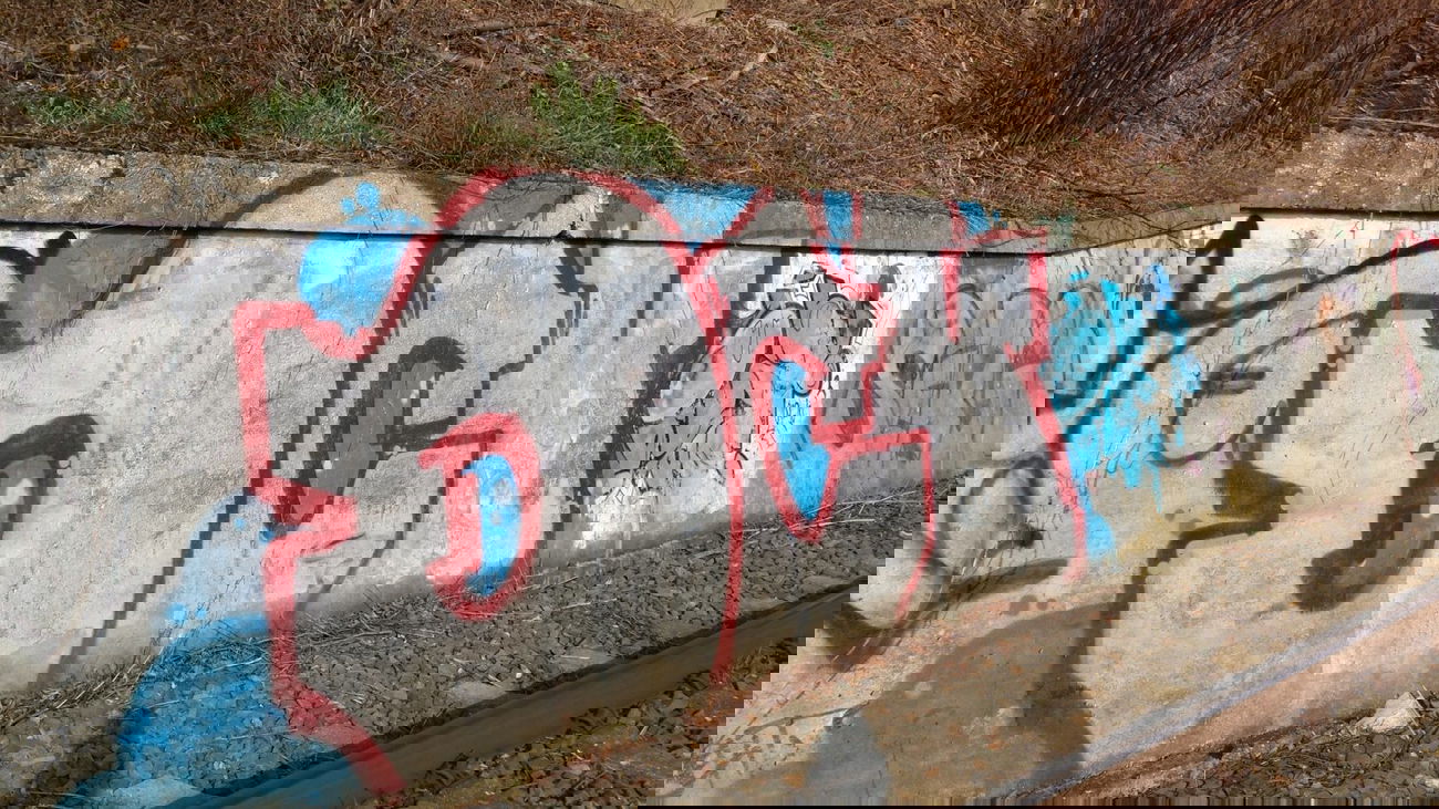 Graffiti Bombing - Photo by Pillepalle - DCV