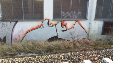 Graffiti Bombing - Photo by Pillepalle