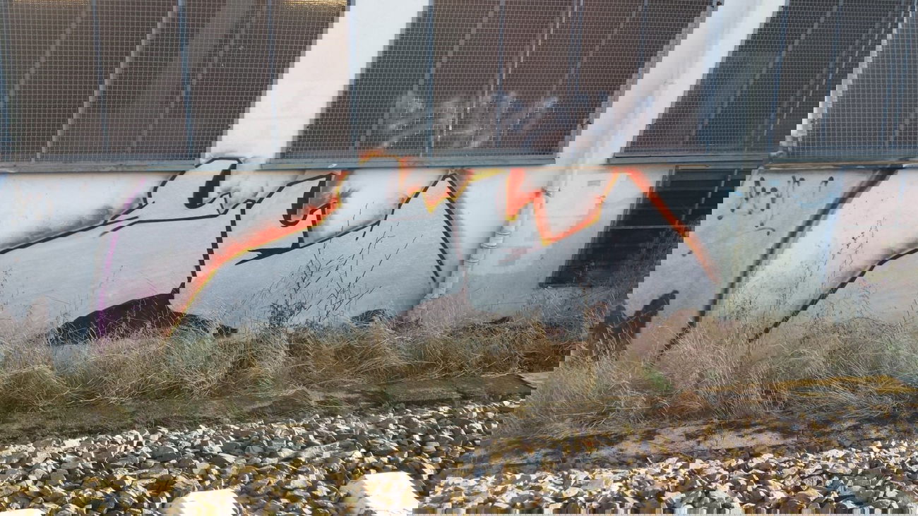 Graffiti Bombing - Photo by Pillepalle