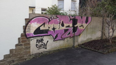 Graffiti Bombing - Photo by Pillepalle