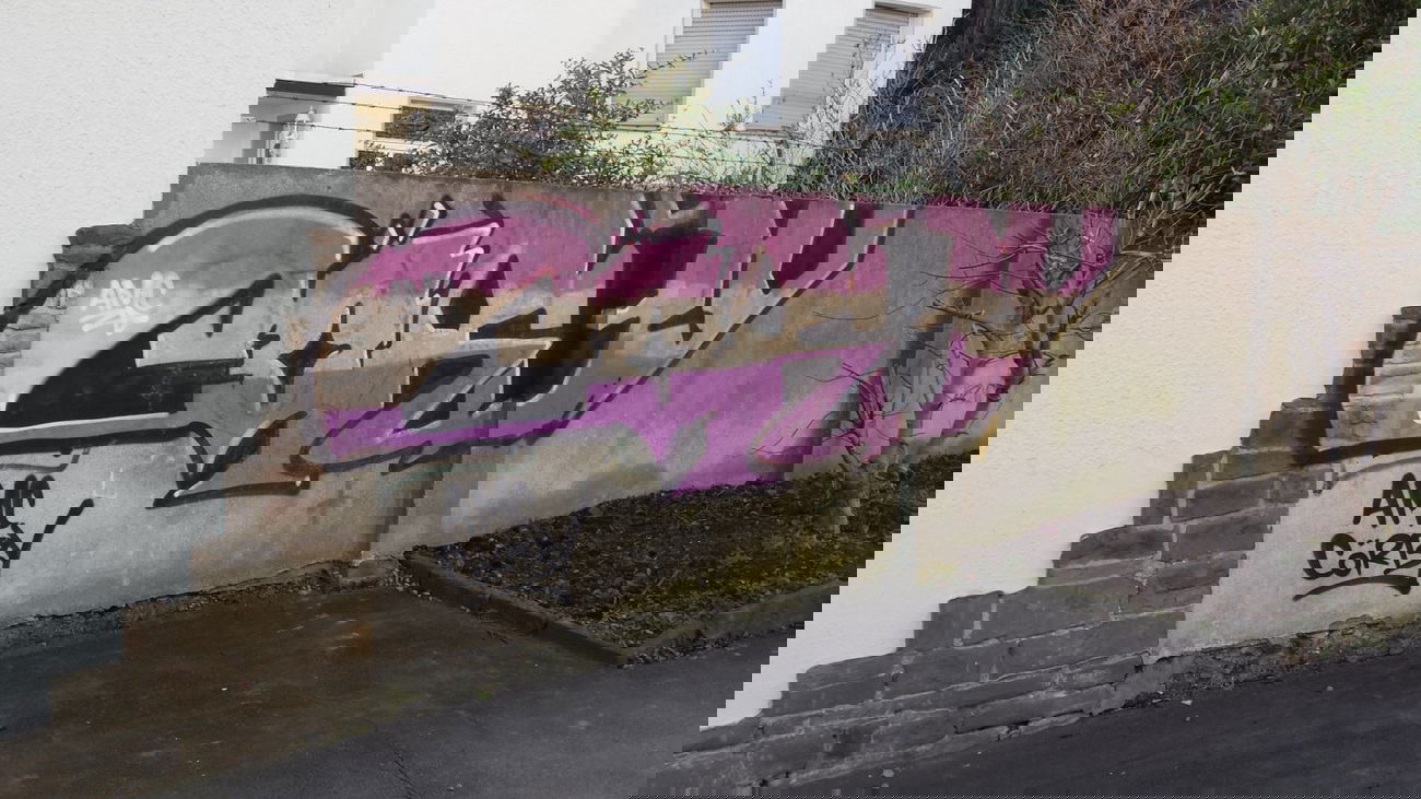 Graffiti Bombing - Photo by Pillepalle