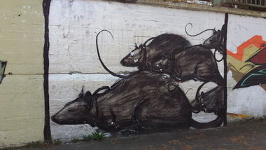 Graffiti Wall - Photo by Pillepalle