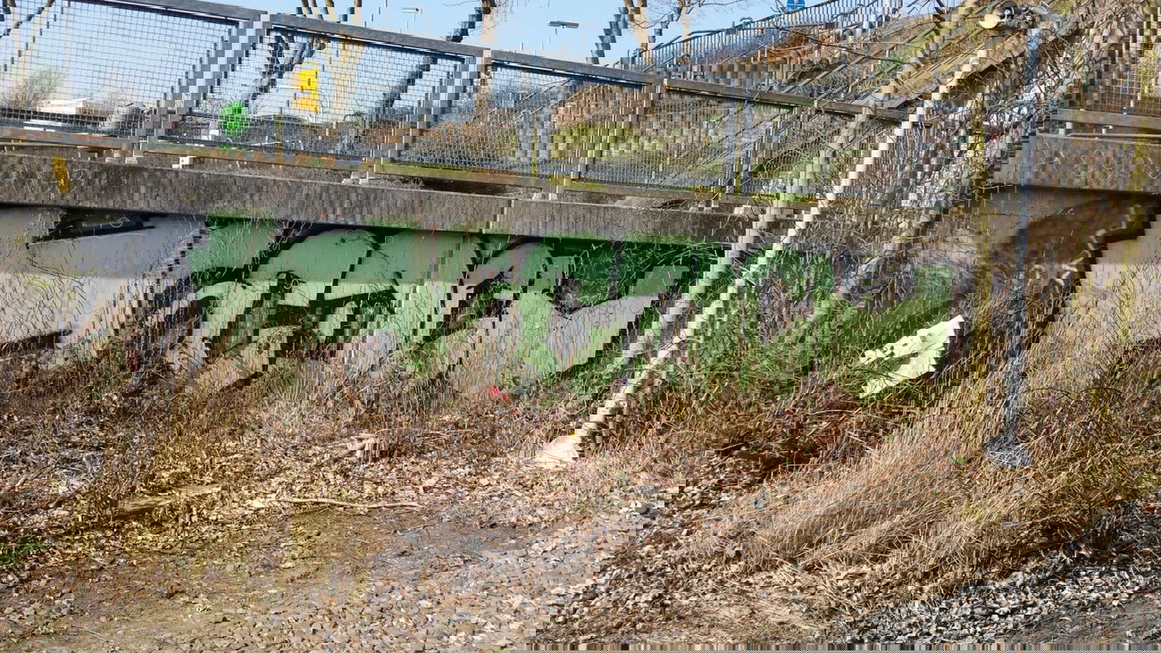 Graffiti Bombing - Photo by Pillepalle - HSC, DCV