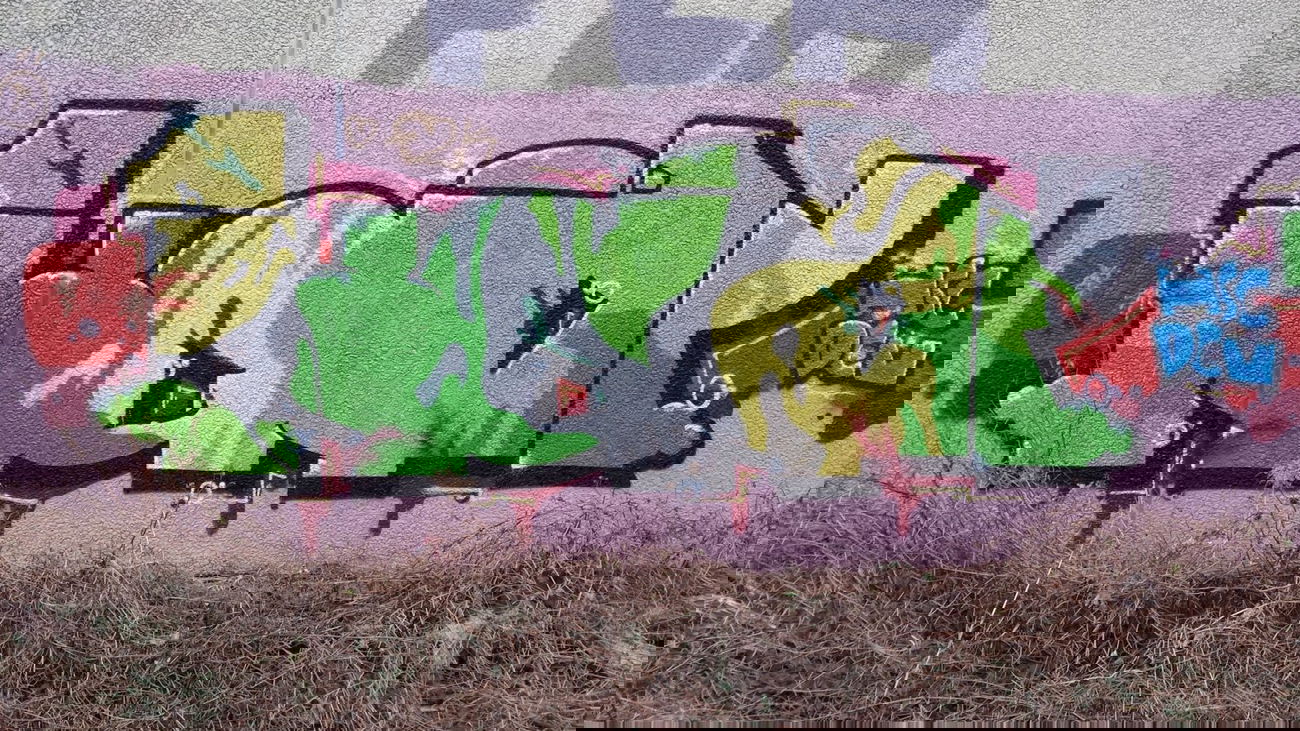 Graffiti Wall - Photo by Pillepalle - KONY, HSC, DCV