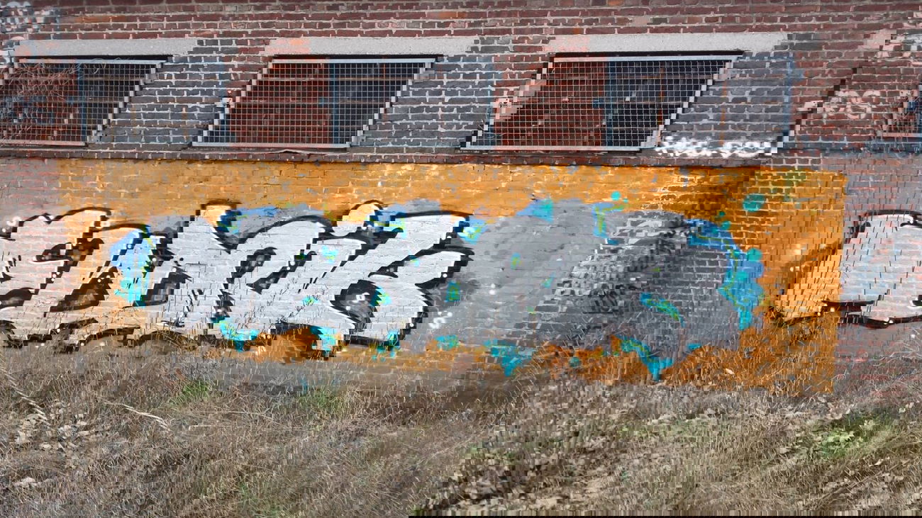 Graffiti Bombing - Photo by Pillepalle