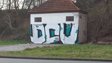 Graffiti Bombing - Photo by Pillepalle - DCV