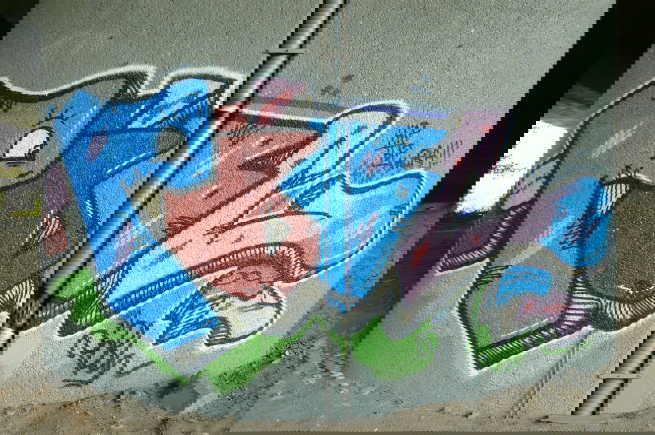 Graffiti Wall - Photo by PinaColadaSong - PÖBL (2010)