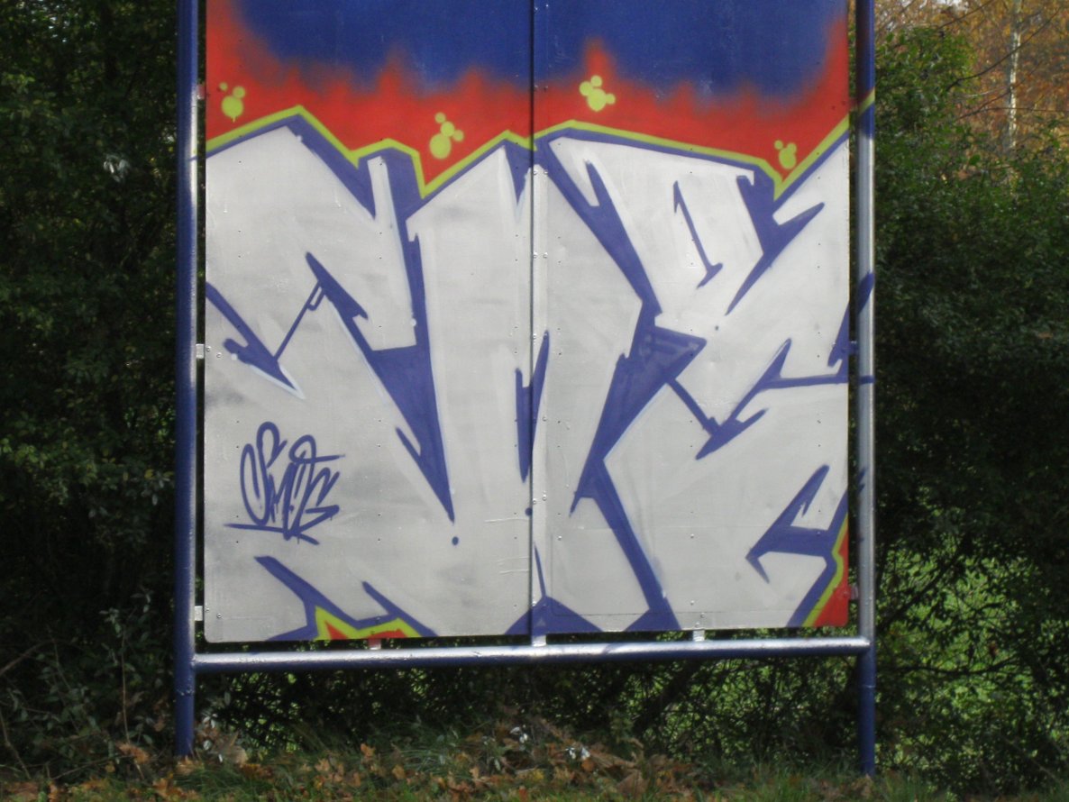 Graffiti Bombing - Photo by PinaColadaSong - SMOG (2010)