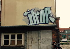 Photo #230687 by Belt