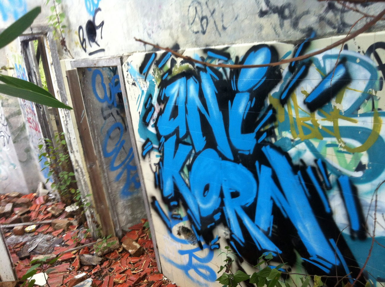 Graffiti Wall - Photo by Pincho1