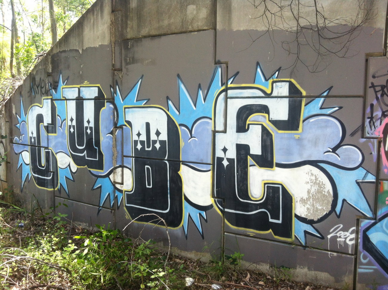 Graffiti Wall - Photo by Pincho1