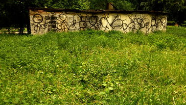 Graffiti Wall - Photo by Piotr