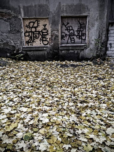 Graffiti Street Art - Photo by Piotr