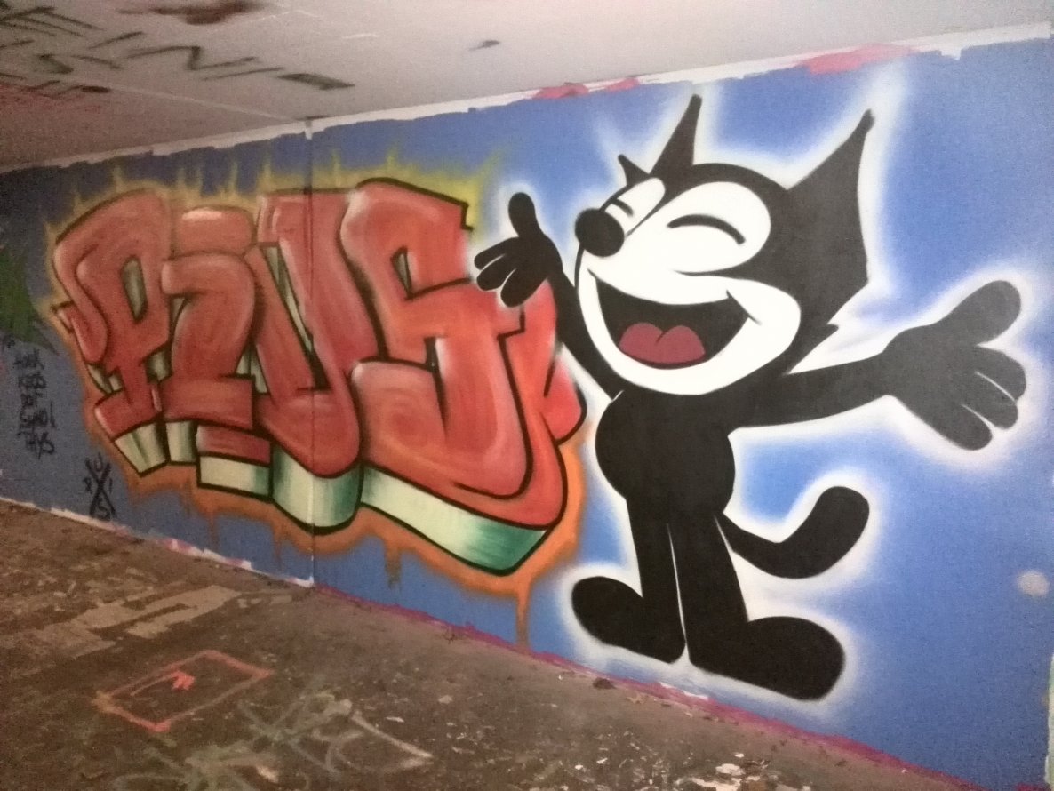 Graffiti Wall in Linz - Photo by Pius - Charakter, linz, austria (2013)