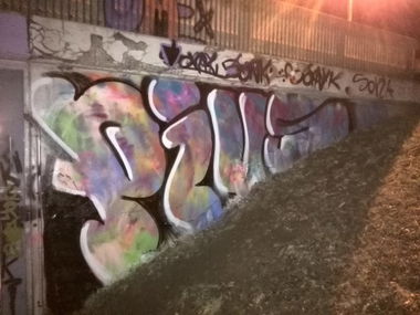 Graffiti Bombing - Photo by Pius - hall, linz, pius (2014)