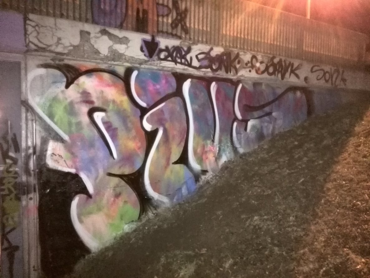 Graffiti Bombing - Photo by Pius - hall, linz, pius (2014)