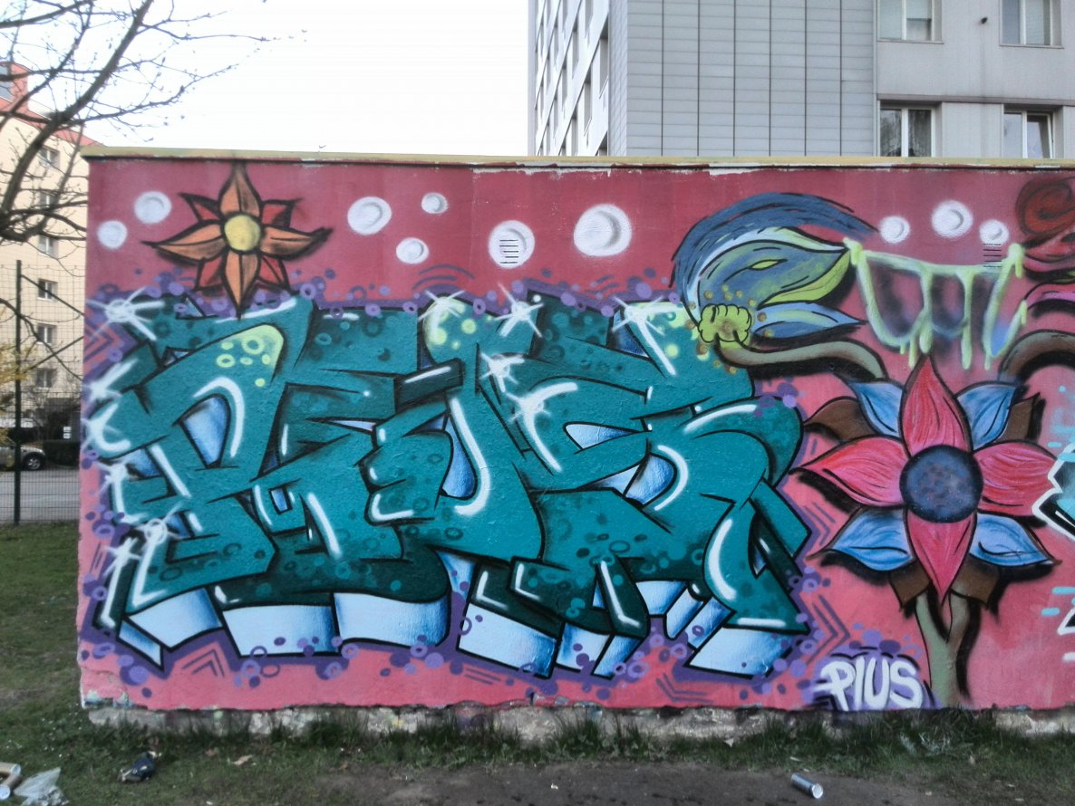 Graffiti Wall - Photo by Pius - Pius, linz, kaisergasse (2014)