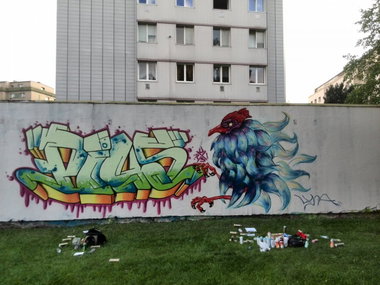 Graffiti Wall - Photo by Pius - Pius, kaisergasse, linz (2014)